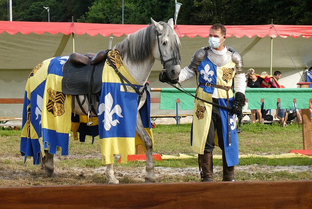 球迷无不佩 球迷无不佩