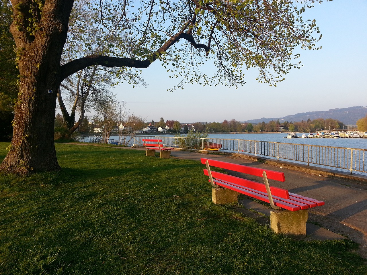 痛失好局 痛失好局