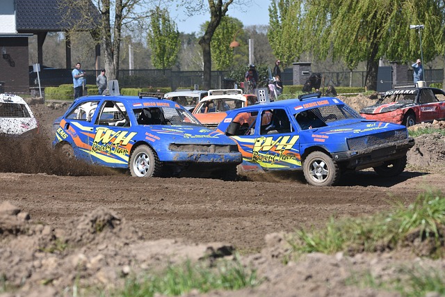 他们合作的 他们合作的