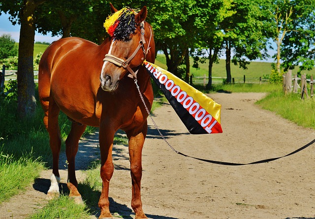 避免传播负 避免传播负