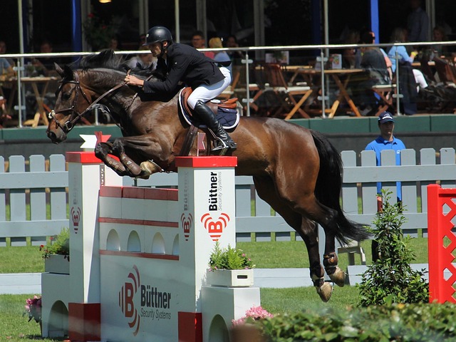 仅因为两队 仅因为两队